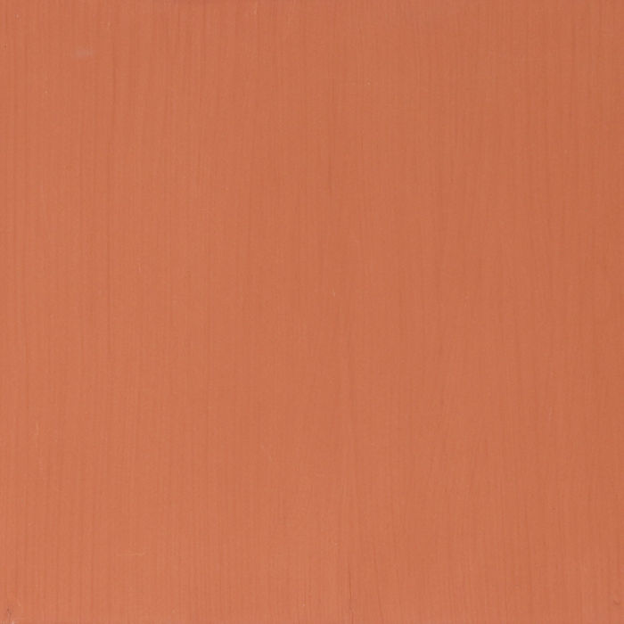 Pecan - Image 2